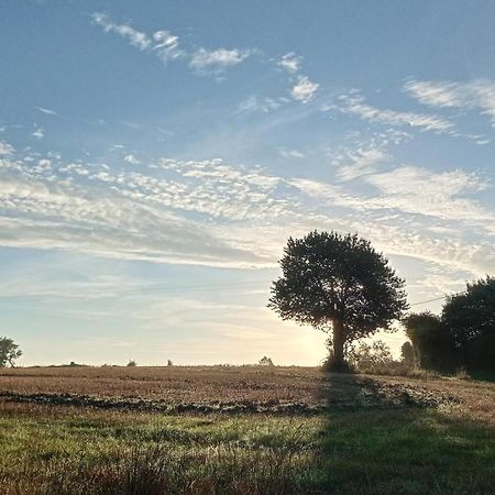Au Mont & Merveilles Sartilly-Baie-Bocage Exteriér fotografie