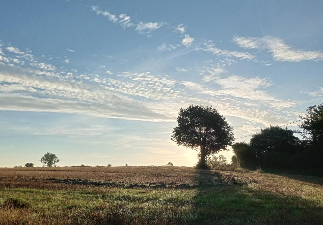 Au Mont & Merveilles Sartilly-Baie-Bocage Exteriér fotografie